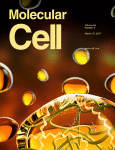 MolCell cover